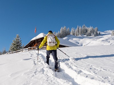 DCLDLUX8-20251122-1002067