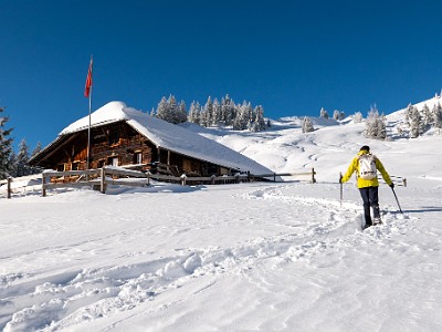 Schwyberg (2025-11-22)