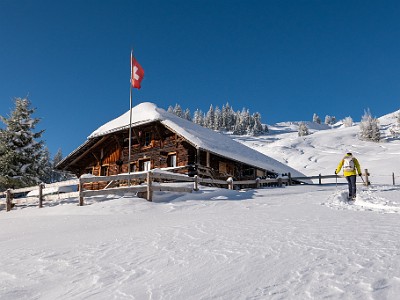 DCLDLUX8-20251122-1002070