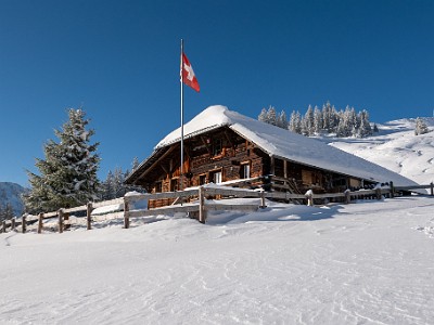 DCLDLUX8-20251122-1002071