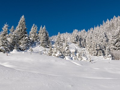 DCLDLUX8-20251122-1002072