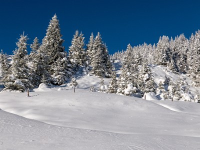 DCLDLUX8-20251122-1002073