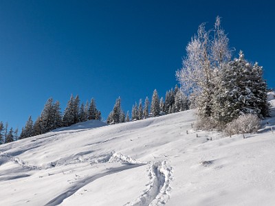 DCLDLUX8-20251122-1002074