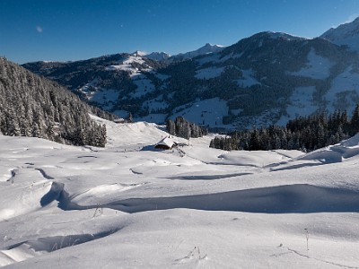 DCLDLUX8-20251122-1002076