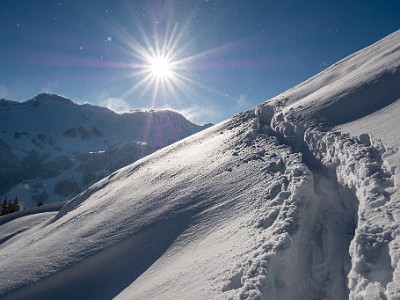 DCLDLUX8-20251122-1002077