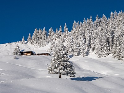 DCLDLUX8-20251122-1002078