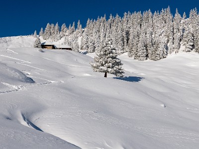 DCLDLUX8-20251122-1002080