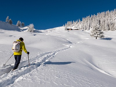 DCLDLUX8-20251122-1002082