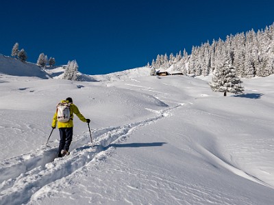 DCLDLUX8-20251122-1002083