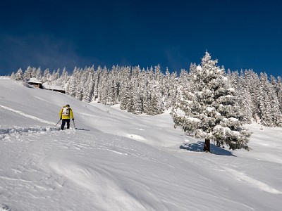 DCLDLUX8-20251122-1002085