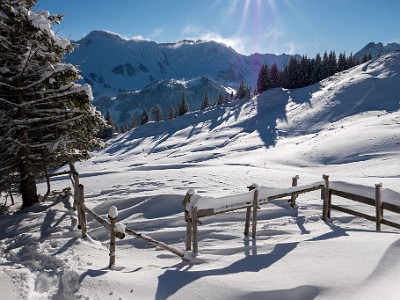 DCLDLUX8-20251122-1002086