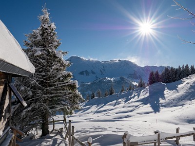 DCLDLUX8-20251122-1002087