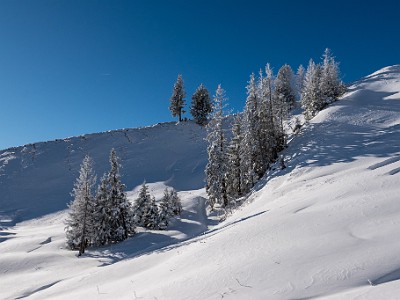 DCLDLUX8-20251122-1002089