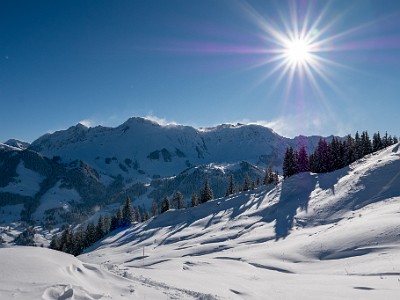 DCLDLUX8-20251122-1002090