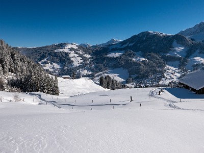 DCLDLUX8-20251122-1002091