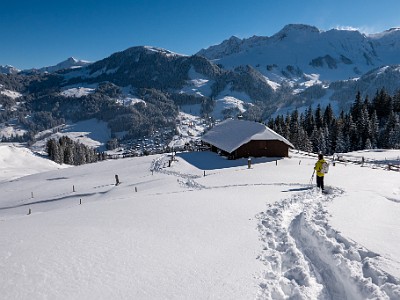 DCLDLUX8-20251122-1002092