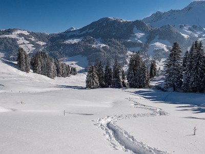 DCLDLUX8-20251122-1002093