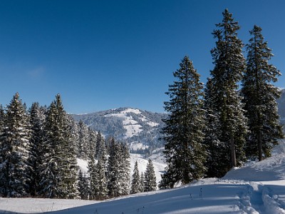 DCLDLUX8-20251122-1002095