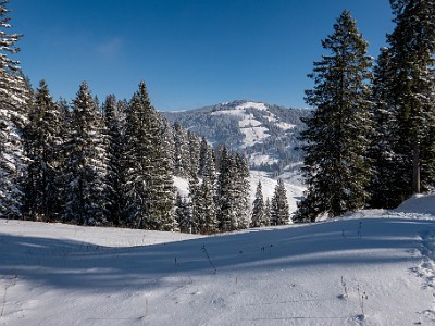 DCLDLUX8-20251122-1002096