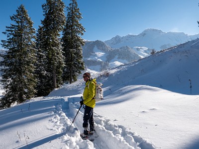 DCLDLUX8-20251122-1002097