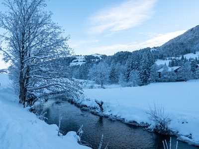 DCLDLUX8-20251128-1002099