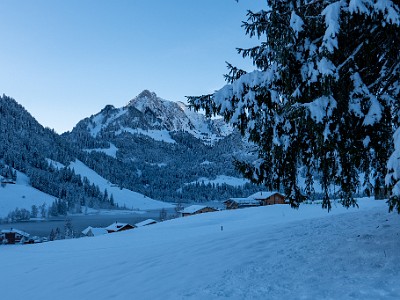 DCLDLUX8-20251128-1002101