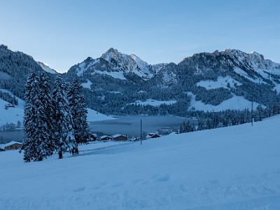 DCLDLUX8-20251128-1002103