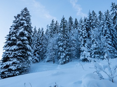 DCLDLUX8-20251128-1002106