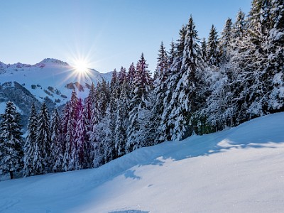 DCLDLUX8-20251128-1002107