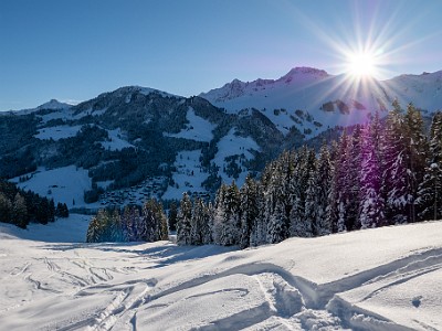 DCLDLUX8-20251128-1002110