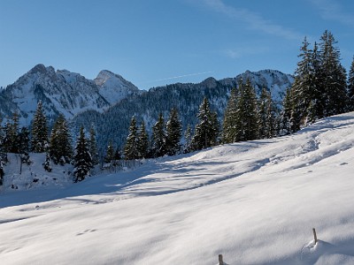 DCLDLUX8-20251128-1002111