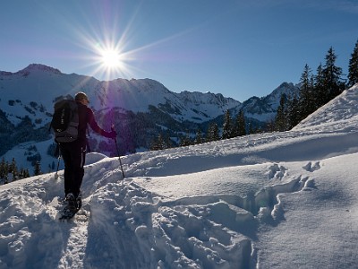 DCLDLUX8-20251128-1002112