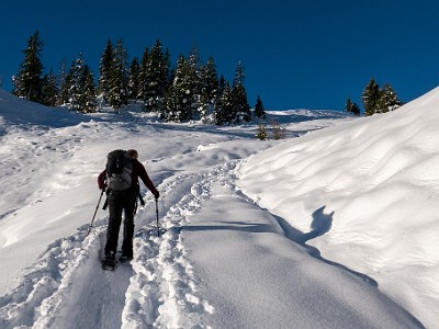 DCLDLUX8-20251128-1002115