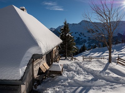 DCLDLUX8-20251128-1002117