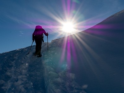 DCLDLUX8-20251128-1002118