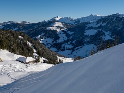 DCLDLUX8-20251128-1002119