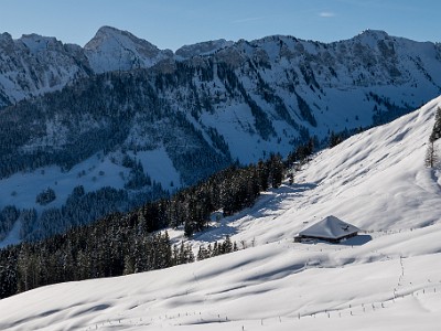 DCLDLUX8-20251128-1002121