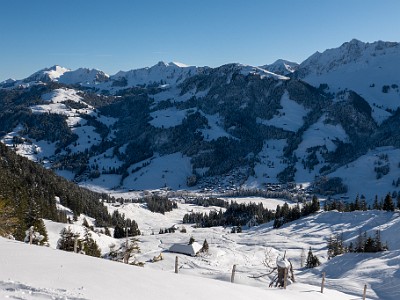 DCLDLUX8-20251128-1002123