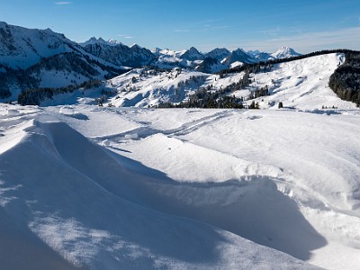 DCLDLUX8-20251128-1002125