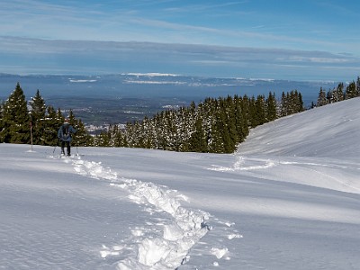 DCLDLUX8-20251128-1002128