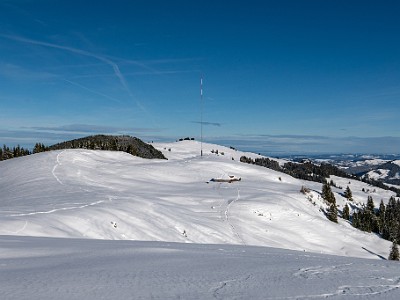 DCLDLUX8-20251128-1002130