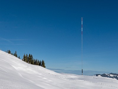 DCLDLUX8-20251128-1002131