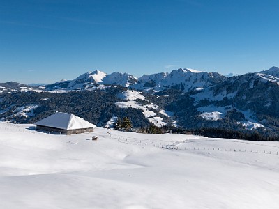 DCLDLUX8-20251128-1002132