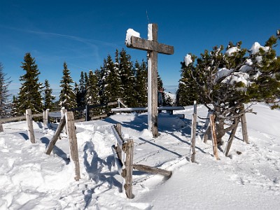 DCLDLUX8-20251128-1002133