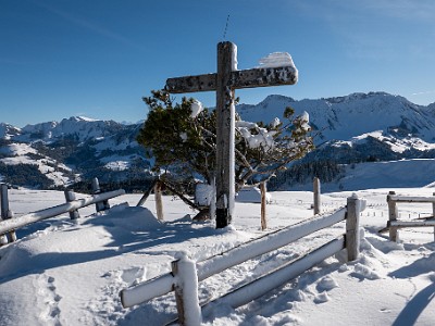 DCLDLUX8-20251128-1002134