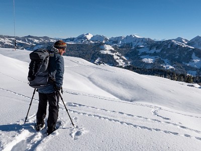 DCLDLUX8-20251128-1002135