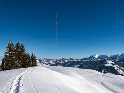 DCLDLUX8-20251128-1002136