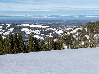 DCLDLUX8-20251128-1002137