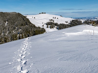 DCLDLUX8-20251128-1002138