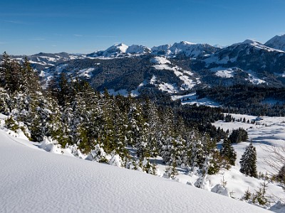 DCLDLUX8-20251128-1002140